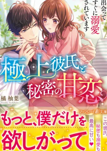 極上彼氏と秘密の甘恋~出会ってすぐに溺愛されています~