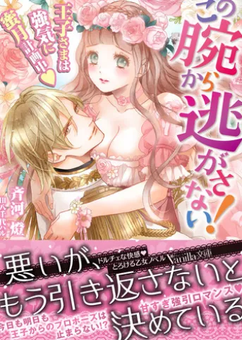 この腕から逃がさない!~王子さまは強気に蜜月計画中~