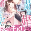 期間限定婚だったのに極上御曹司が離婚してくれません