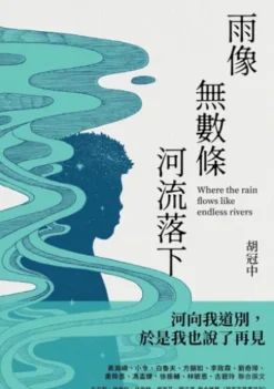 雨像無數條河流落下