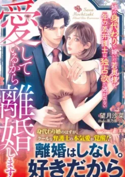愛しているから離婚します～姉の身代わりで嫁いだ若奥様を、年の差弁護士は独占欲で逃がさない～