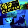 海洋：从上到下看大海