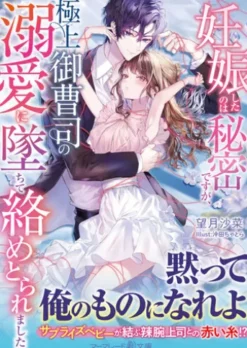 妊娠したのは秘密ですが、極上御曹司の溺愛に墜ちて絡めとられました