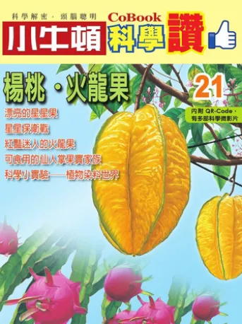 楊桃、火龍果