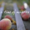 A Time of Miracles
