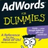 AdWords For Dummies