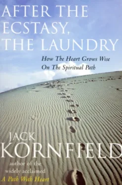 After The Ecstasy, The Laundry