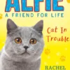 Alfie Cat In Trouble
