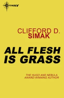 All Flesh is Grass