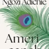 Americanah