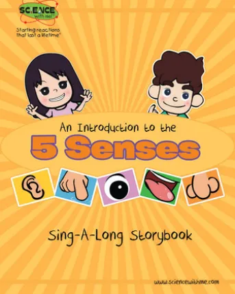 An Introduction to the 5 Senses