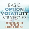 Basic Option Volatility Strategies