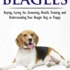 Beagles - The Owner's Guide from Puppy to Old Age - Choosing, Caring for, Grooming, Health, Training and Understanding Your Beagle Dog or Puppy