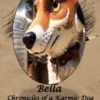BELLA - CHRONICLES OF A KARMIC DOG