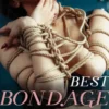 Best Bondage Erotica of the Year, Volume 2