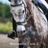 Bittersweet Farm 2: Joyful Spirit