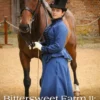 Bittersweet Farm 11: Partial Stranger