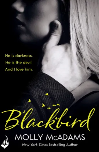 Blackbird