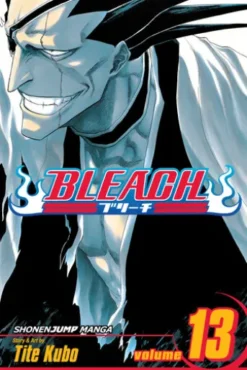 Bleach, Vol. 13