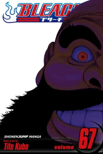 Bleach, Vol. 67