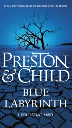 Blue Labyrinth