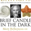 Brief Candle in the Dark