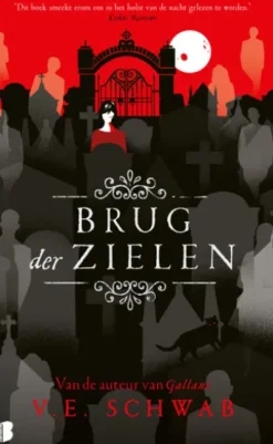 Brug der zielen