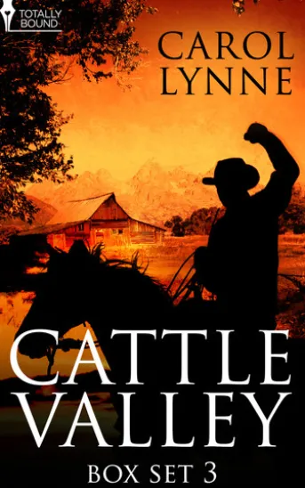 Cattle Valley Box Set 3