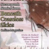 Ceaseless Steam: Steampunk Stories from Beneath Ceaseless Skies Online Magazine