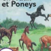 Chevaux et Poneys