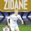 Classic Football Heroes: Zidane (Midfield Generals 2)