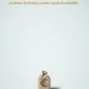 Crowdfunding