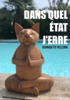 Dans quel état j'erre ?