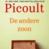 De andere zoon