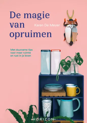 De magie van opruimen