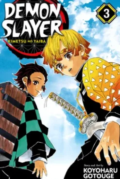 Demon Slayer: Kimetsu no Yaiba, Vol. 3