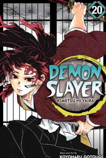 Demon Slayer: Kimetsu no Yaiba, Vol. 20