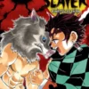 Demon Slayer: Kimetsu no Yaiba, Vol. 4