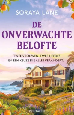 De onverwachte belofte