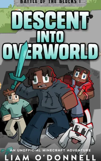 Descent into Overworld