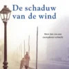 De schaduw van de wind