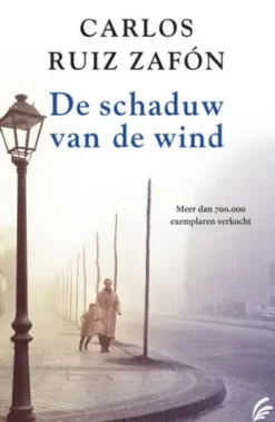De schaduw van de wind