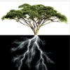 Design in Nature