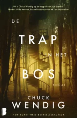 De trap in het bos