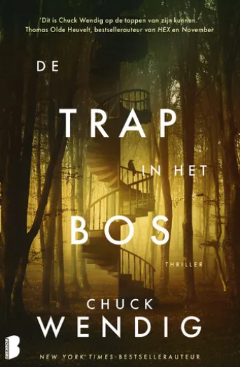 De trap in het bos