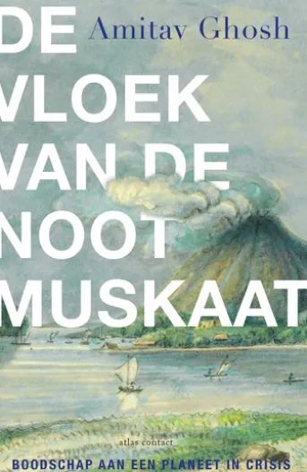 De vloek van de nootmuskaat
