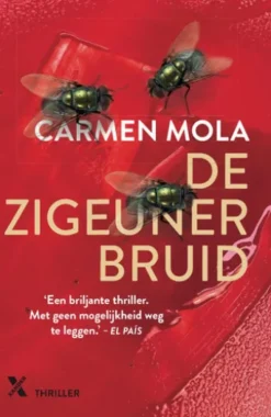 De zigeunerbruid