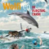 Dolfi, Wolfi en de vliegtuigcrash