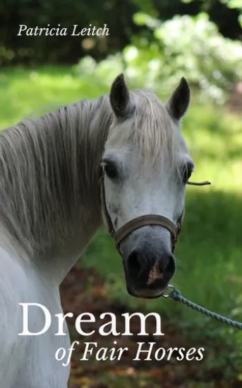 Dream of Fair Horses