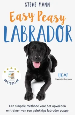Easy Peasy Labrador
